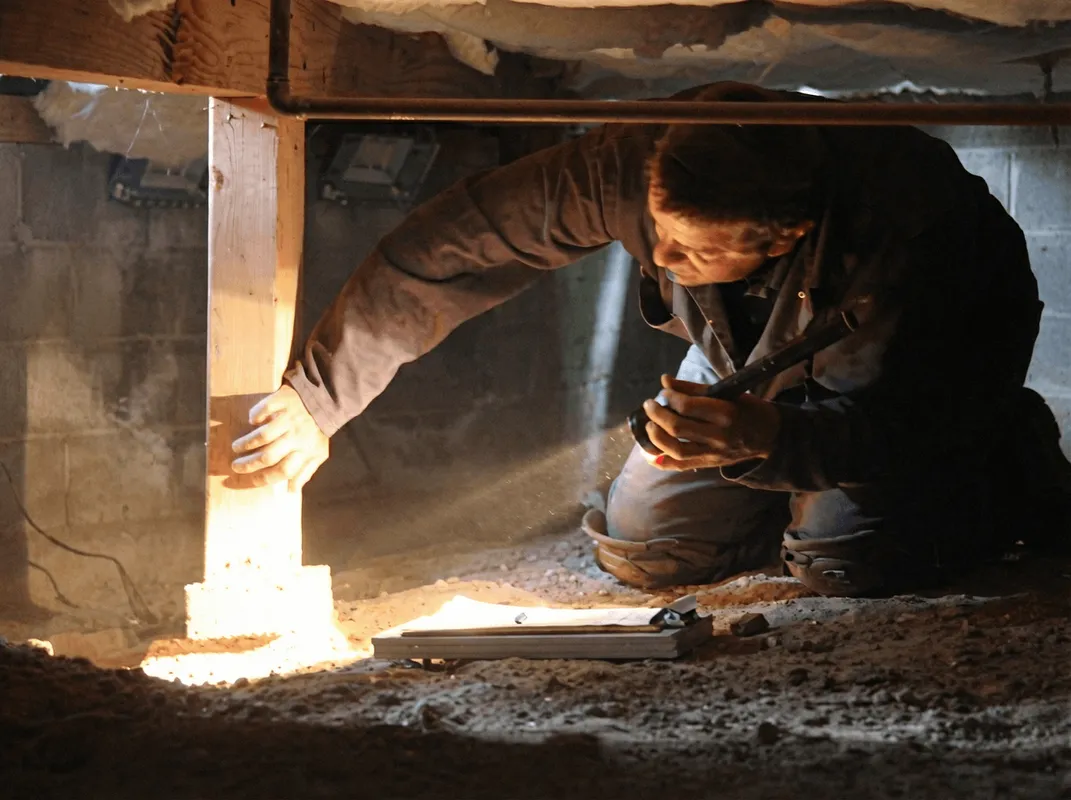 A professional inspecting wooden beams under the floor of a structure in El Paso, TX